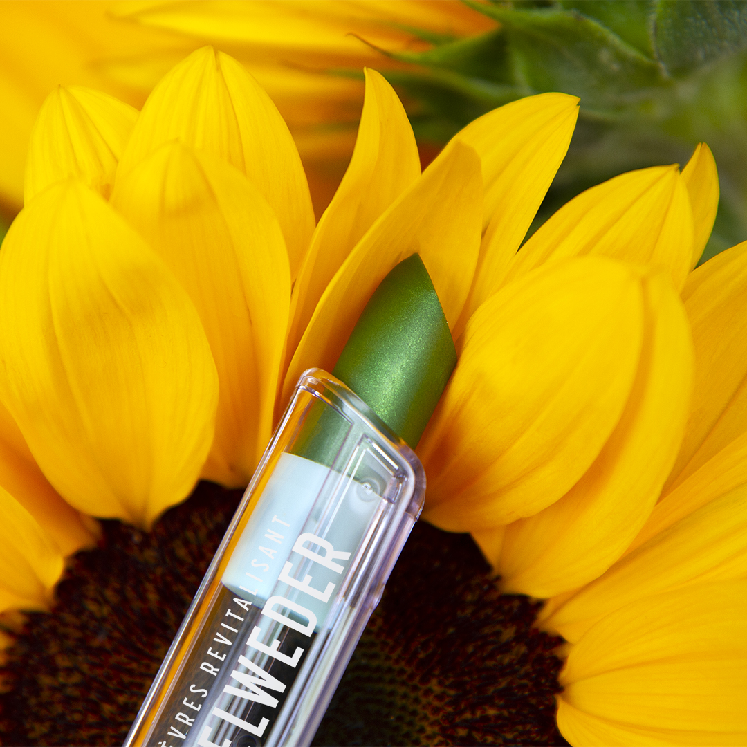 BAUME LÈVRES REVITALISANT<br>Phytostérols Kaméléon vert Baumes à lèvres 11