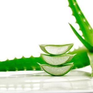 BAUME LÈVRES PROTECTEUR <br>Aloe vera Vitamine E Huile de Coton Hydratation & Nutrition 7