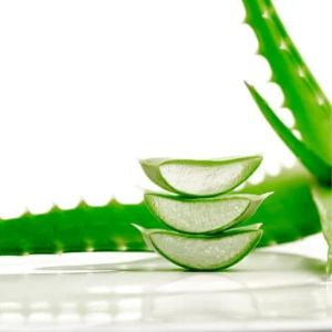 BAUME LÈVRES FLUIDE<br>Extrait d’Aloe vera<br>CRISTALLIN & VERT MAGIQUE Couleur & soin 7